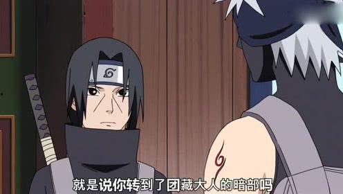 西瓜视频火影爆料,揭秘西瓜视频独家爆料，最新剧情大揭秘！